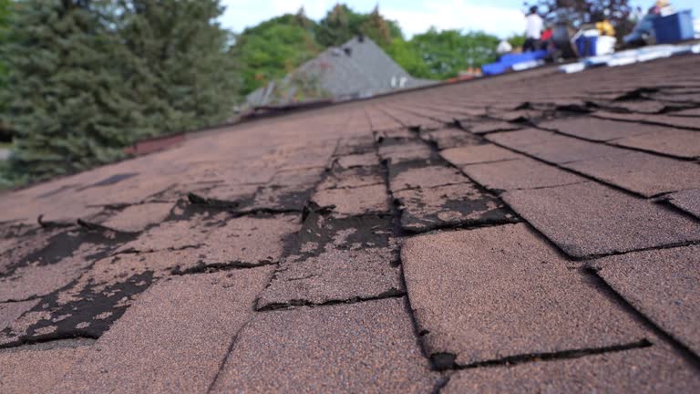 Best Roof Installation  in Edinburg, VA