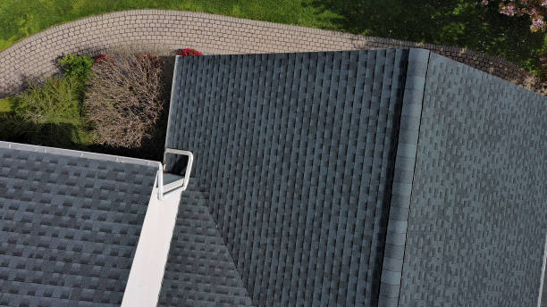 Best Roof Maintenance and Cleaning  in Edinburg, VA