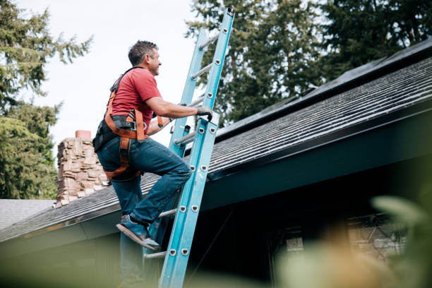 Best Roof Insulation Installation  in Edinburg, VA