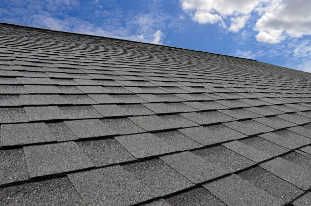 Best Solar Panel Roofing Installation  in Edinburg, VA