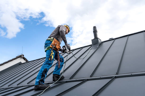 Best Chimney Flashing Repair  in Edinburg, VA