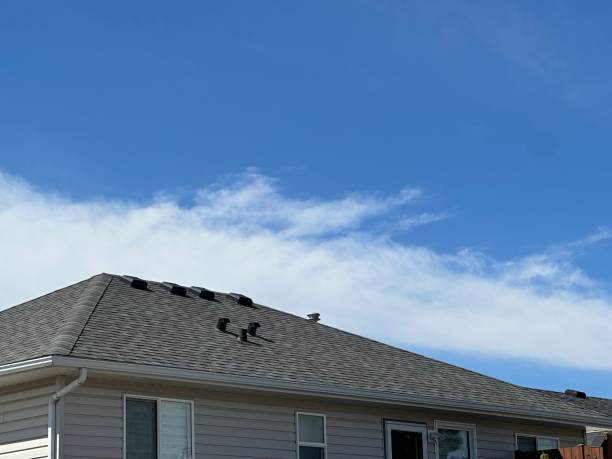 Best Steel Roofing  in Edinburg, VA